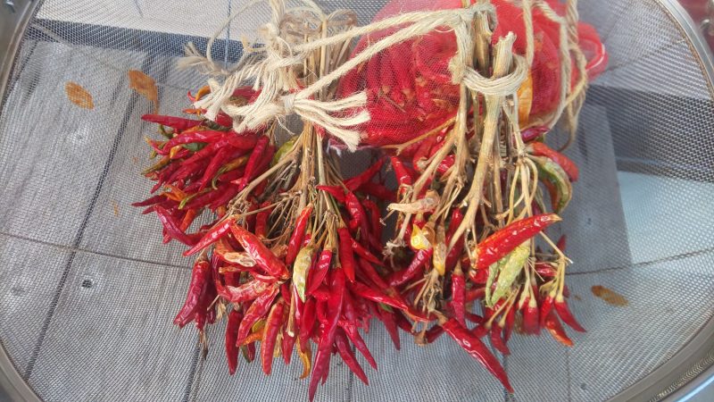 乾燥した鷹の爪